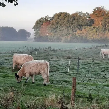 Holiday home 42 Pod *