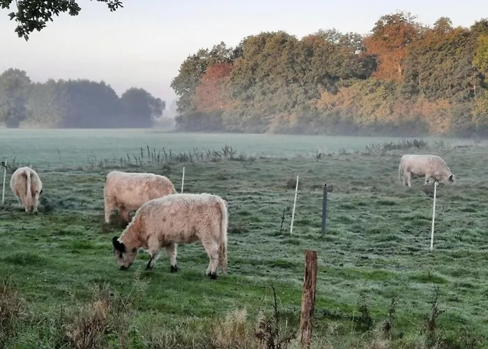 Vakantiehuis 42 Pod *